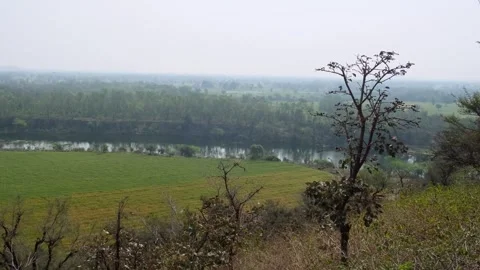 High angle view of a calm river flowing past green agricultural fields Видео 329370566