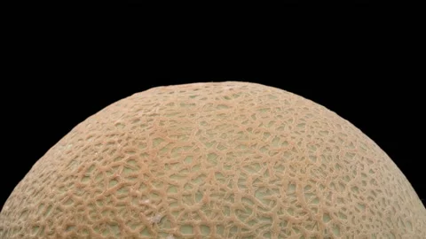High angle view of a cantaloupe melon top rotating. Isolated on black Stock-Footage 169848564
