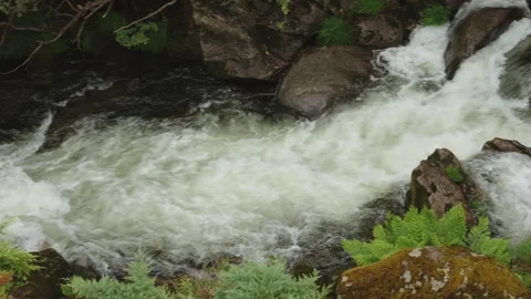 High-angle view of a cascading river stream flowing powerfully over dark, mossy 스톡 동영상 344206568