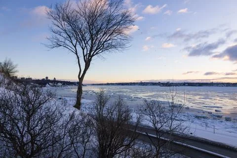 High angle view of the Champlain Boulevard Stock Photos