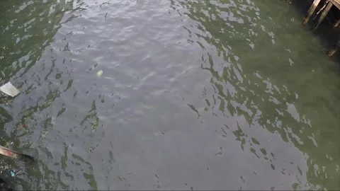 High Angle View, Chao Phraya River Khlong, Thonburi, Bangkok, Thailand Stock Footage 289871199