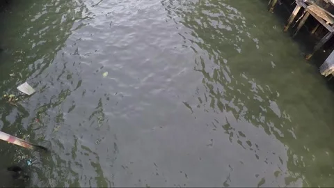 High Angle View, Chao Phraya River Khlong, Thonburi, Bangkok, Thailand Stock Footage 289871207