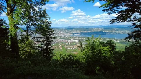 High angle view of a city next to a large lake seen through forest trees Stock Footage 334865469
