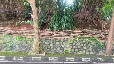 High angle view of a city road surrounded by lush green trees. Stock Footage 323722863