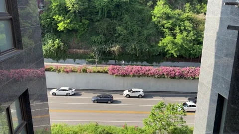 High Angle View of City Traffic Passing Beside Pink Flower Wall in Seoul Stock Footage 338293238