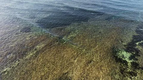 High-Angle View of Clear Shallow Sea Water with Underwater Coral Reef and Rocks Stockfoto's