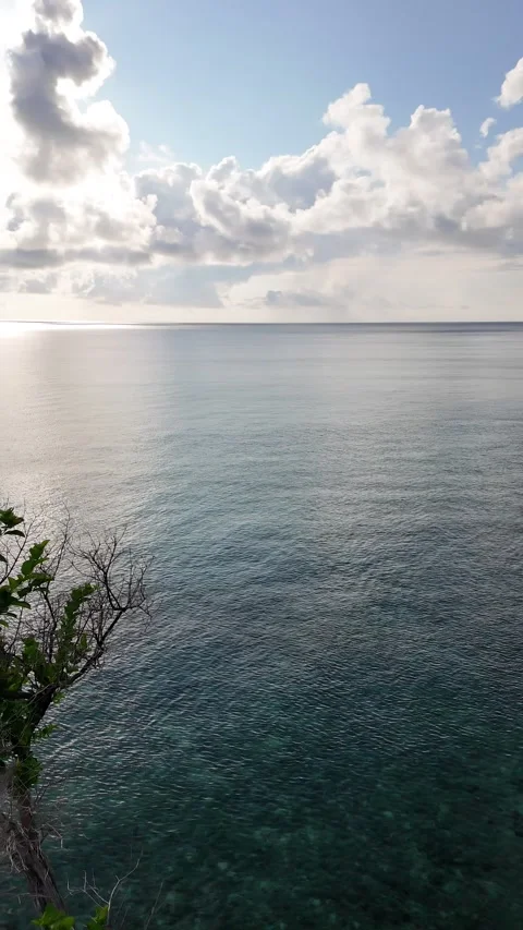 High Angle View of Clear Turquoise Ocean Water and Green Rocky Cliff Coast Vidéo 336041255