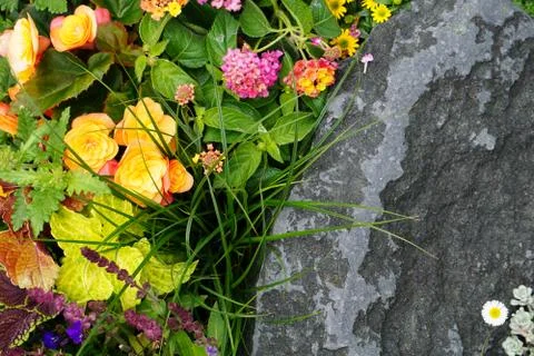 High Angle View Of Colorful Flowers And Plants With A Big Stone Stock Photos