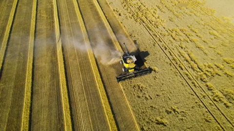 High angle view of combine harvester har... | Stock Video | Pond5