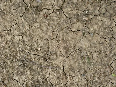 High angle view of cracked dry soil texture caused by global warming 库存照片
