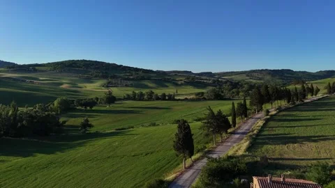 High Angle View of Cypress Tree Shadows Across Country Dirt Road Stock Footage 346987268