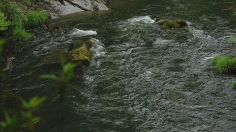 High-angle view of a dark, flowing river with visible raindrops rippling the 動画素材 344207190