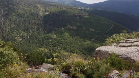High angle view of the deep forested Elbe Valley with alpine meadows and ro.. Stock Footage 340457201