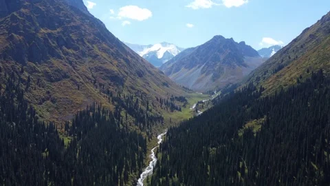 High angle view of deep mountain valley with winding river and dense forest Video stock 335647372