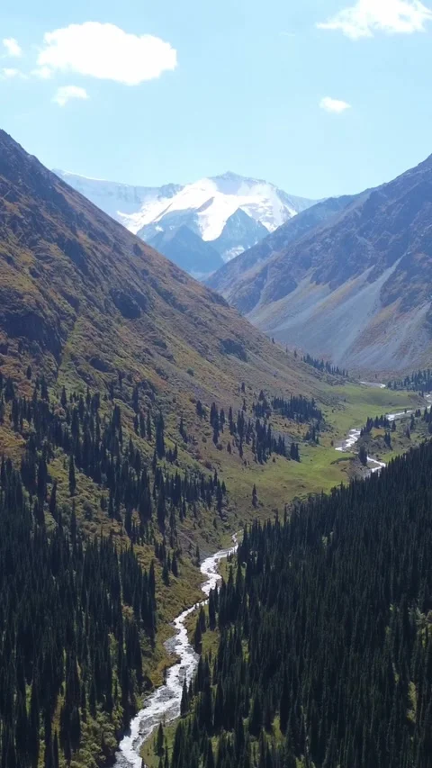 High angle view of deep mountain valley with winding river and spruce forest Stock Footage 336689959