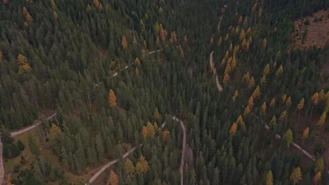 High-angle view of Dolomites summit above bright yellow forest in daylight Stock Footage 321551123