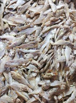 High Angle View of Dried Salted Fish in a Box Foto stock