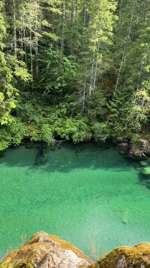 High Angle View of Emerald Green River in Evergreen Forest Stock Footage 339583876