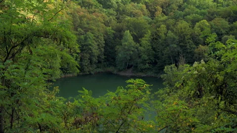 High angle view of emerald lake surrounded by dense green forest Stock Footage 346539906