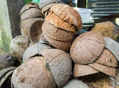 High angle view of empty coconut shells in soft-focus in the background Stock Photos