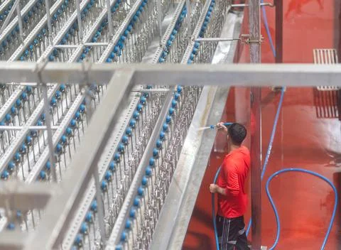 High-angle view of a factory worker in a red shirt using a hose to spray an.. 写真素材