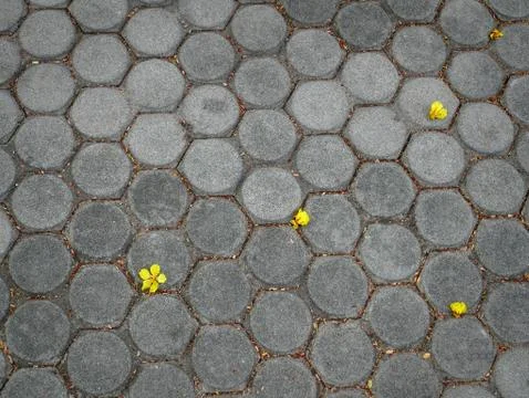 High Angle View of Falling Yellow Flowers on Tiled Floor Stock Photos