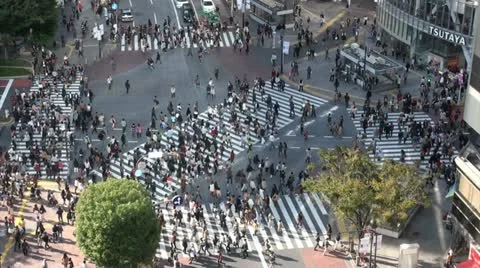 High angle view of the famous Shibuya pedestrian crossing in Tokyo city, Japan 動画素材 20486226