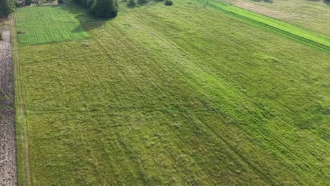 High angle view of farming plots and tilled earth Stock Footage 347528697