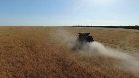 High angle view on the fields full of colza, machinery at work, 4k Stock Footage 138003199