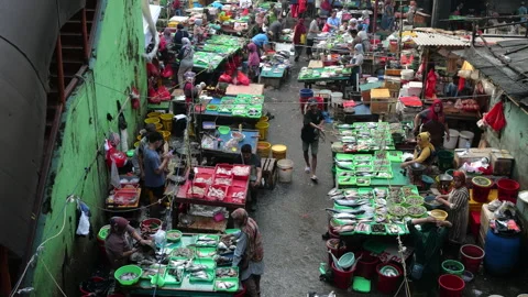 High angle view of fish seller working at the fish market. Stock Footage 274640569