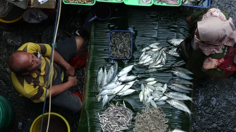 High angle view of fish seller working at the fish market. Stock Footage 274644810