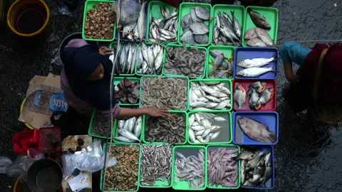 High angle view of fish seller working at the fish market. Stock Footage 274644811