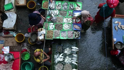 High angle view of fish seller working at the fish market. Stock Footage 274644813