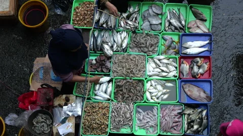 High angle view of fish seller working at the fish market. Stock Footage 274644839