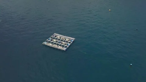 High Angle View of Floating Pearl Aquaculture Farm Stock Footage 345041975