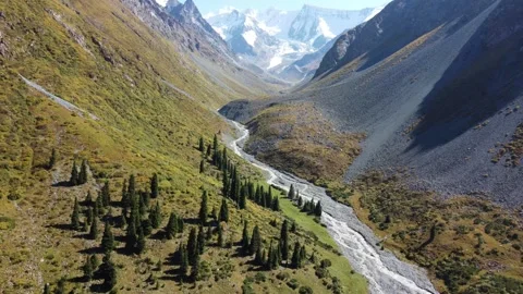 High angle view flying over deep glacial valley with winding river and forest Stock Footage 335647222