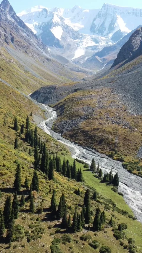 High angle view flying over deep glacial valley with winding river and trees Video stock 336689524