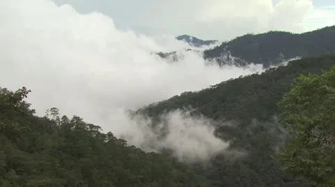 High Angle View of Fog Rising Up Through the Mountain Tops 動画素材 19319921