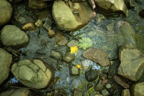 High angle view of forest stream with stones and one yellow leaf Stock Photos