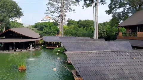 High angle view of fountain in green pond. Video stock 274476508