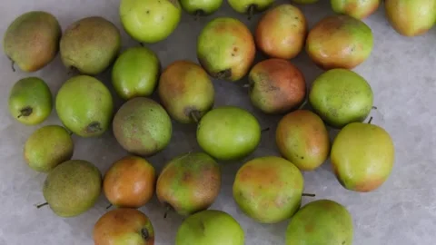 High angle view of fresh jujube or ber fruits spread out on a white surface Stockbeeldmateriaal 329370279