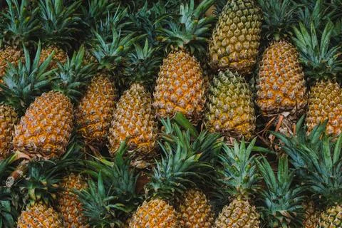 High Angle View of Fresh Ripe Pineapples Background Фото