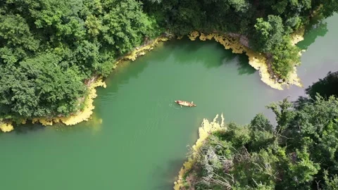 High angle view of friends paddling canoe Video stock 277333344