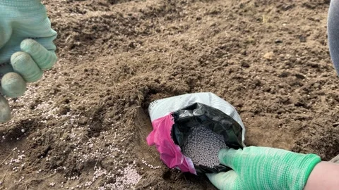 High angle view of gardener hands in gloves scattering granular Vídeo Stock 346163875