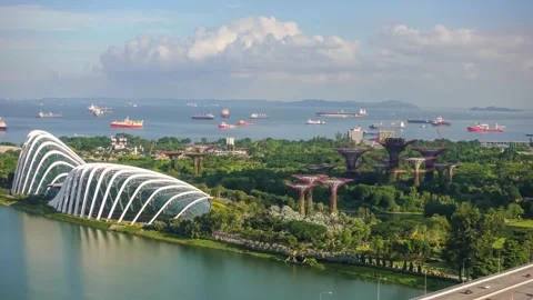 High Angle View of Gardens by the Bay and Singapore Strait 動画素材 338319111