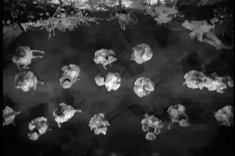 High angle view of girls dancing Stock Footage 11355638