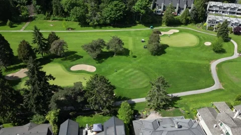 High-angle view of golfers on green putting surfaces flanked by evergreen trees Stock Footage 337713144