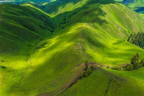 High Angle view of the green grass landscape in the Nalati grassland. Stock Photos