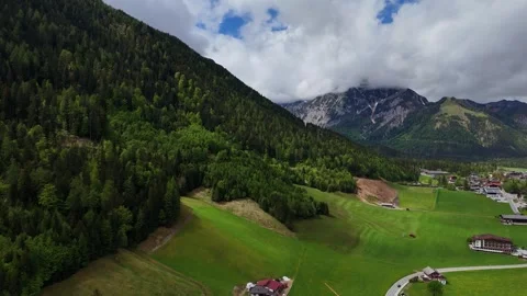 High Angle View of Green Valley Pastures Surrounded by Pine Forest Stock Footage 342783934