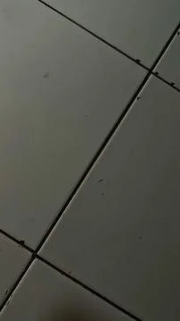 High angle view of grey square ceramic floor tiles with dark grout lines. Stock Photos